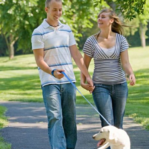 Young Couple Walking Dog